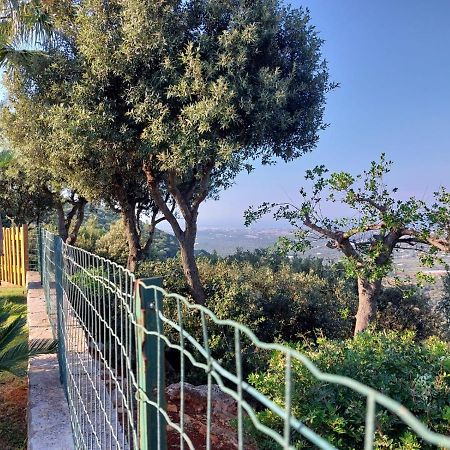 Villa Maremonti Monopoli Esterno foto