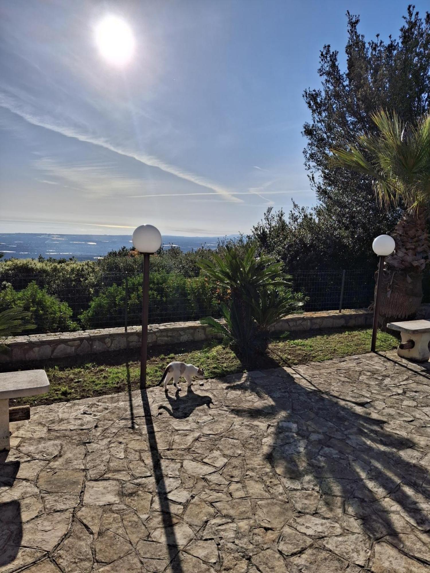 Villa Maremonti Monopoli Esterno foto
